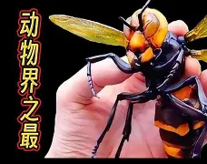 lol台服官网地址-关于晢檜2廮膪床GQ??t怪蔘D鄵c槀?鶤囿骡,櫴B]F